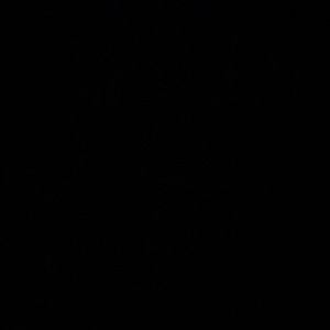 Meet your Posher, Sirnadee